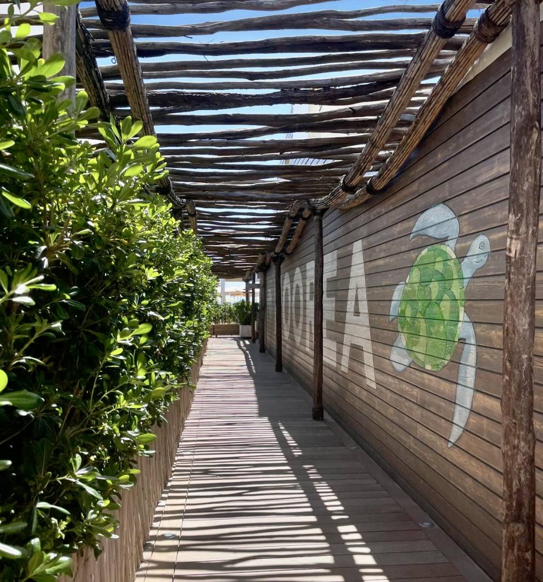 Notre Top 5 des meilleurs Beach Clubs de Hyères à Saint-Tropez