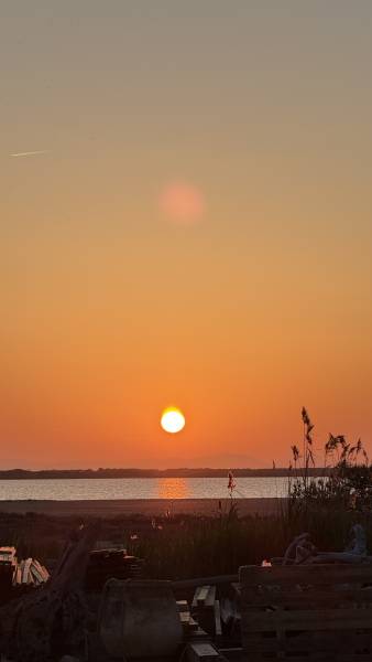 Joli appartement avec terrasse au bord de la plage