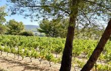 Nos prestations sur le secteur de Hyères 83400 Var